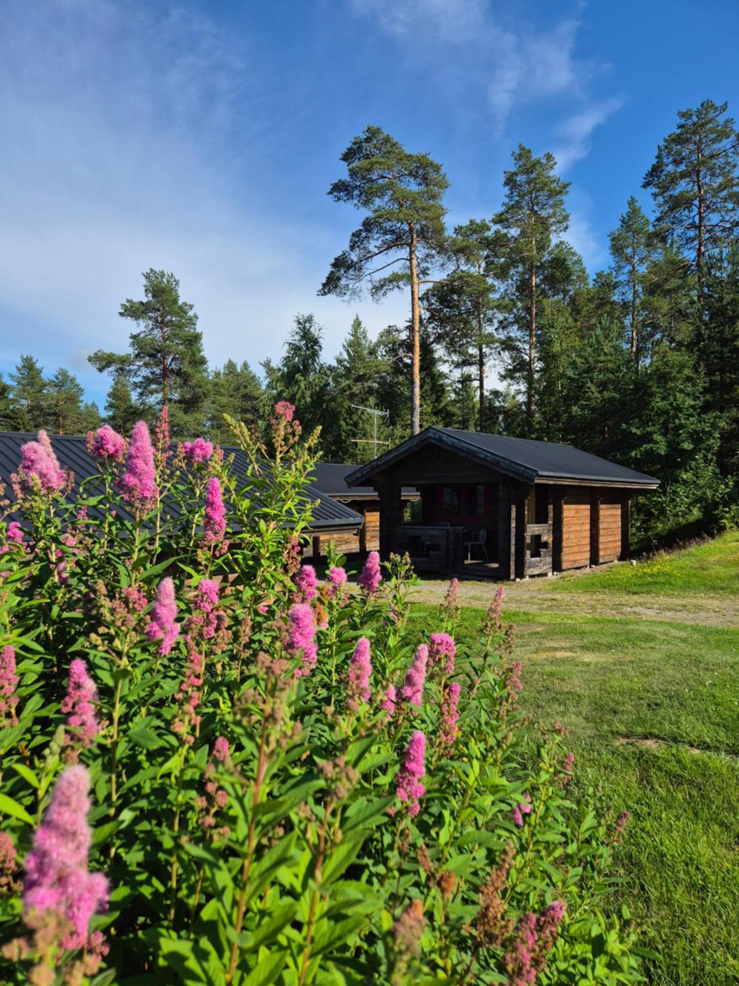 Lufta Camping & Restaurang Anaset ภายนอก รูปภาพ